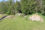 Compost heap area early June